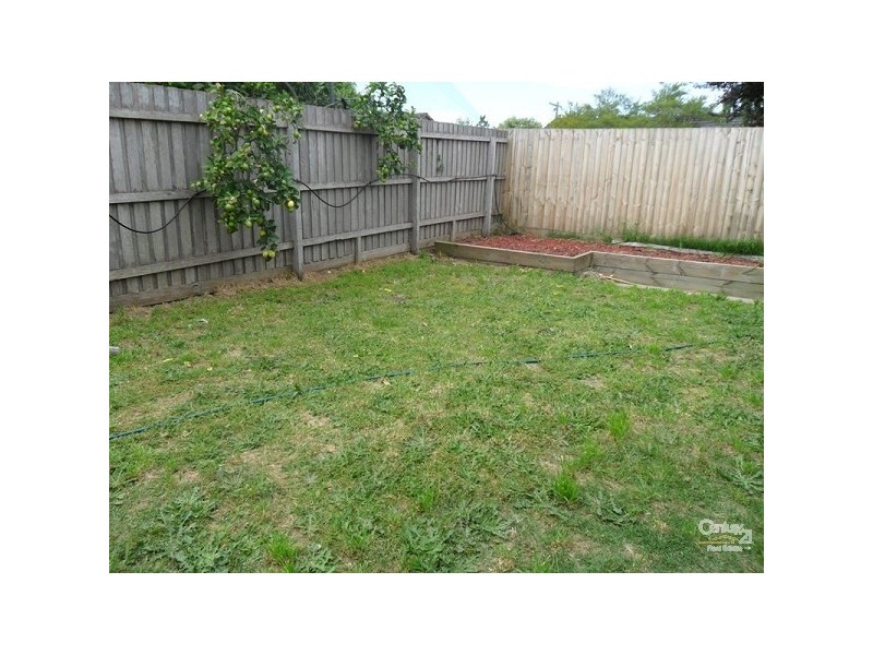 17 Sharrock Drive, Dingley Village VIC 3172