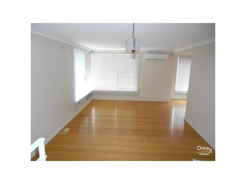 41 Jacks Avenue, Dingley Village VIC 3172