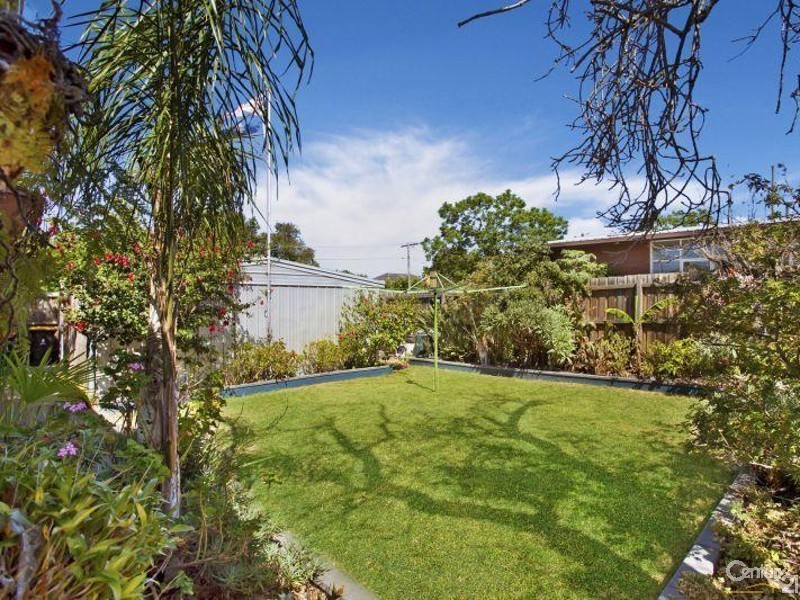 16 Argus Street, Cheltenham VIC 3192