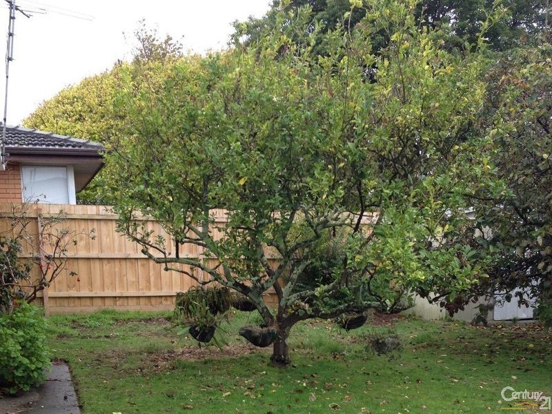 15 Southern Drive, Dingley Village VIC 3172