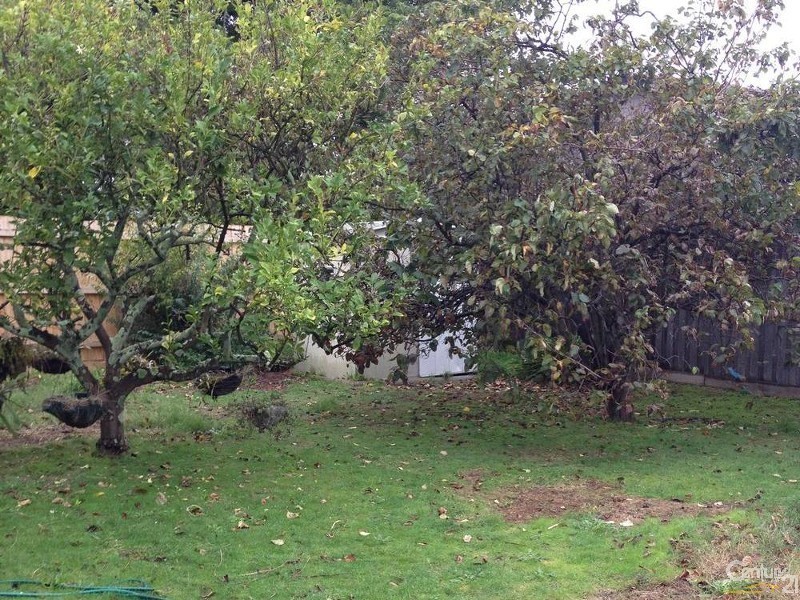 15 Southern Drive, Dingley Village VIC 3172