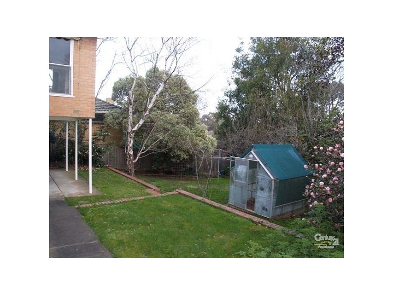 53 Tuxen Street, Balwyn North VIC 3104