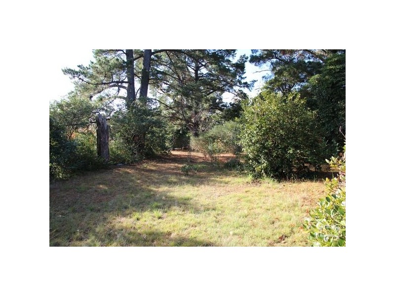 26 Alma Avenue, Ferntree Gully VIC 3156