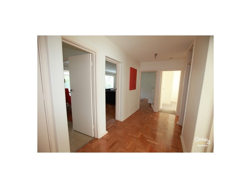 3/10 Dickens Street, Elwood VIC 3184