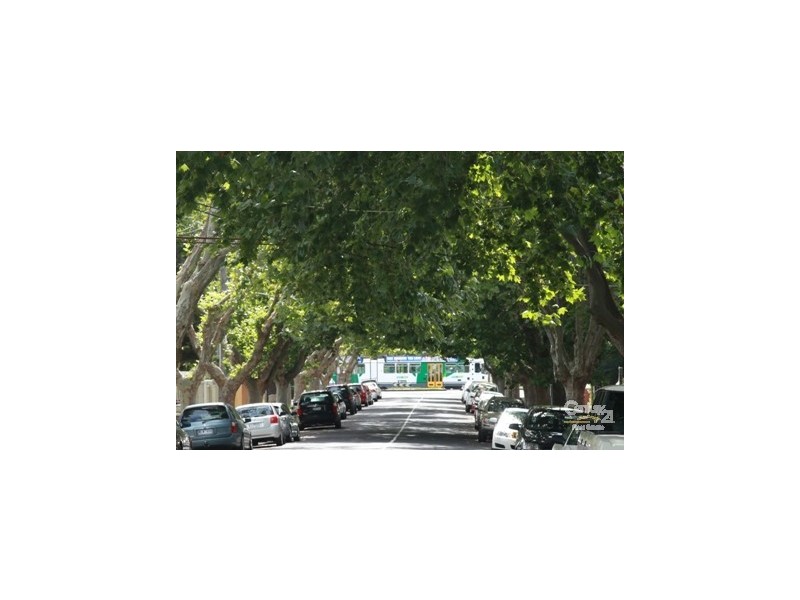 3/10 Dickens Street, Elwood VIC 3184