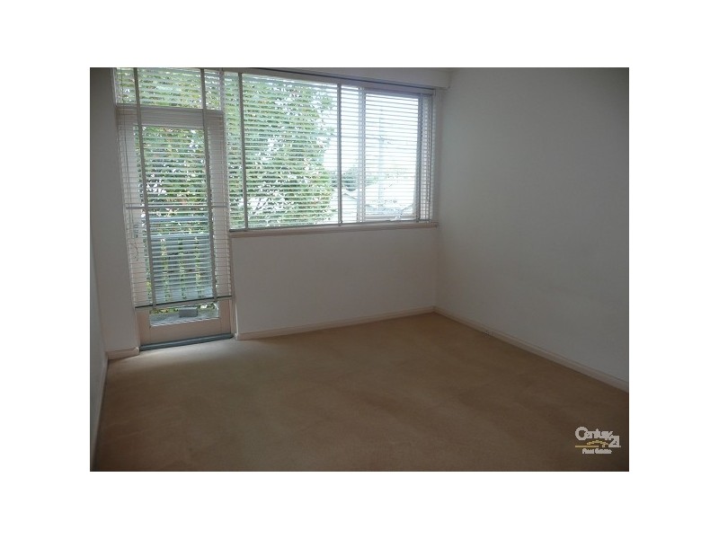 5/34 Austin Avenue, Elwood VIC 3184