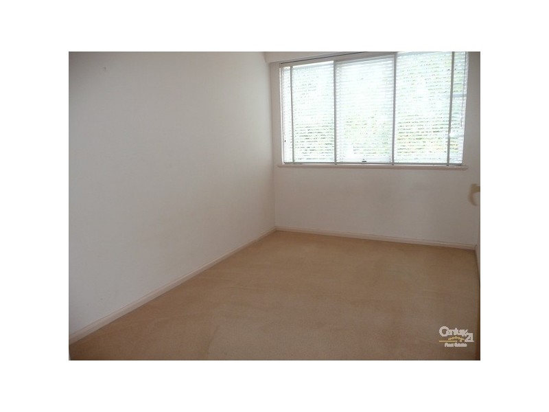 5/34 Austin Avenue, Elwood VIC 3184