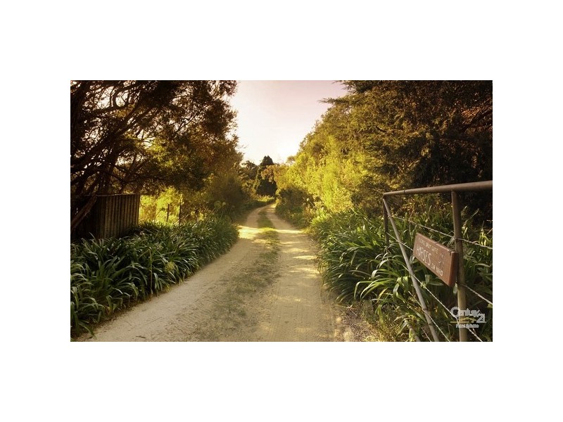 142 Maxwell Road, Fingal VIC 3939