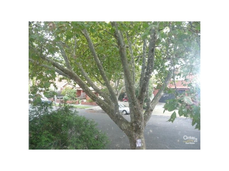 5/86 Ruskin Street, Elwood VIC 3184