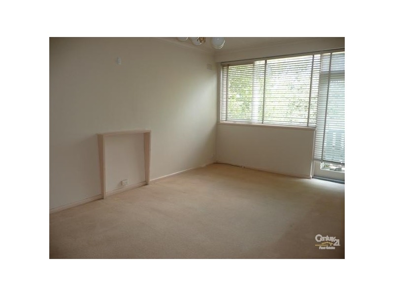 5/34 Austin Avenue, Elwood VIC 3184