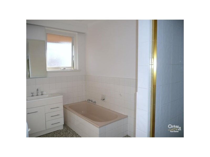 5/34 Austin Avenue, Elwood VIC 3184