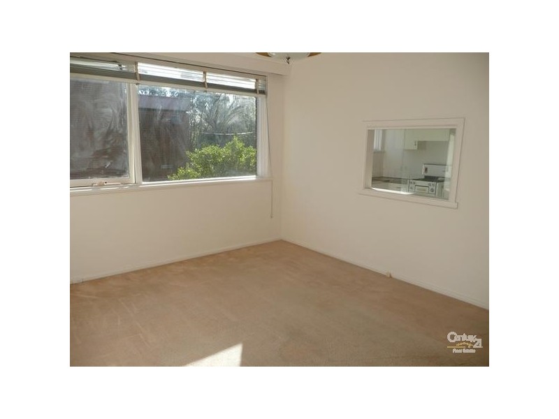 3/34 Austin Avenue, Elwood VIC 3184