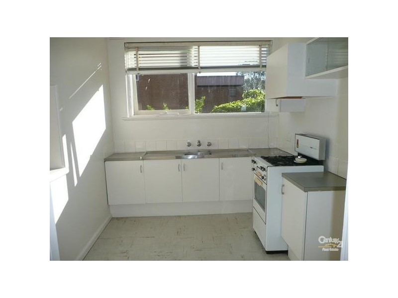 3/34 Austin Avenue, Elwood VIC 3184