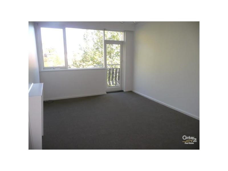 5/34 Austin Avenue, Elwood VIC 3184