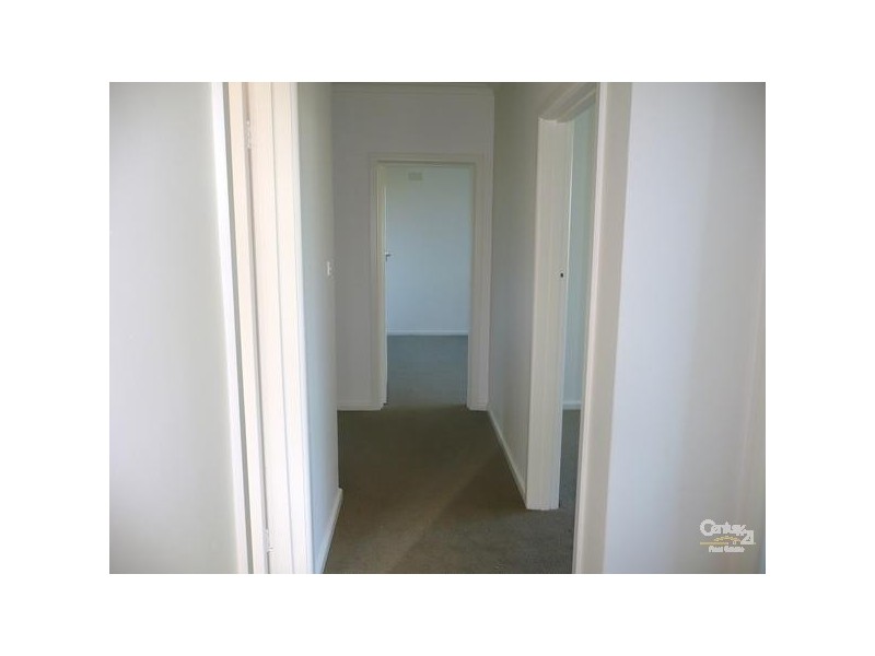 5/34 Austin Avenue, Elwood VIC 3184