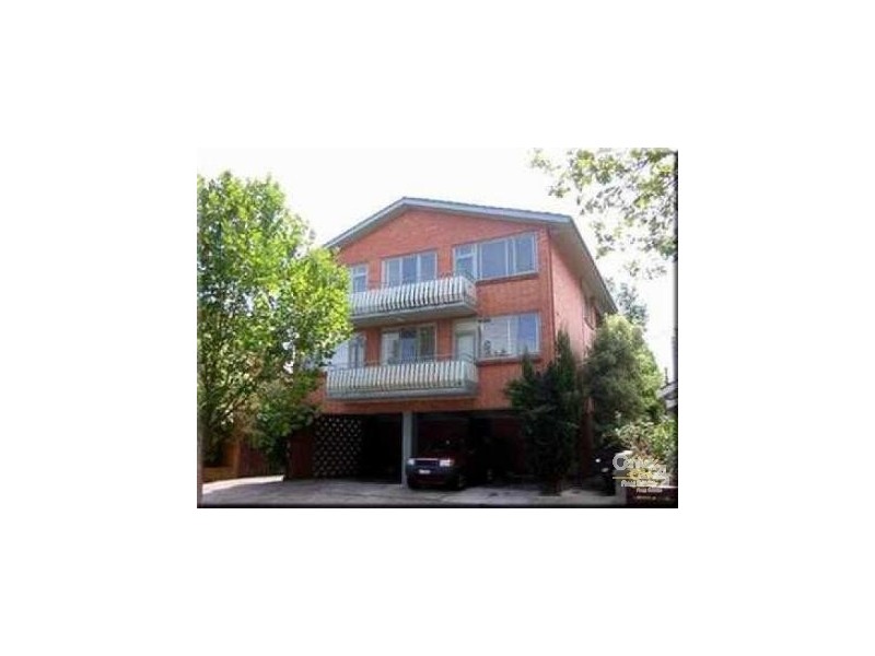 3/34 Austin Avenue, Elwood VIC 3184