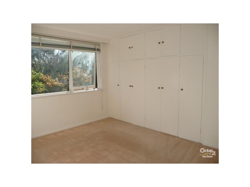 3/34 Austin Avenue, Elwood VIC 3184