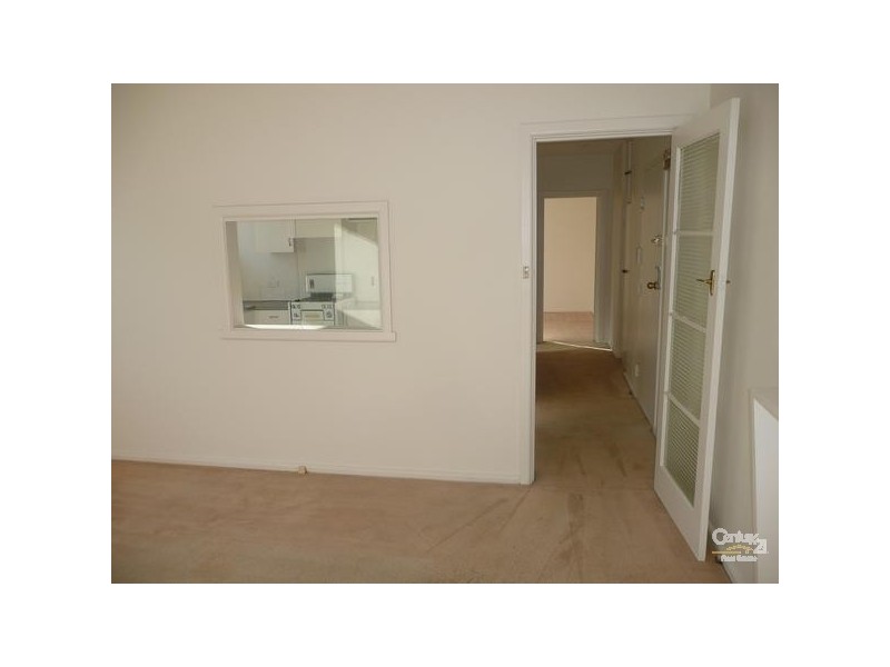 3/34 Austin Avenue, Elwood VIC 3184