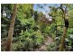 5 Sweetfern Dell, Frankston South VIC 3199