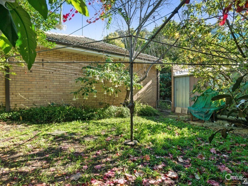 12 Olive Grove, Frankston VIC 3199