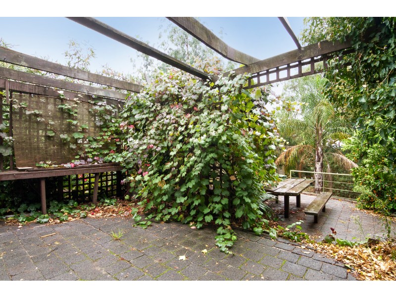 27 Wallace Avenue, Frankston VIC 3199