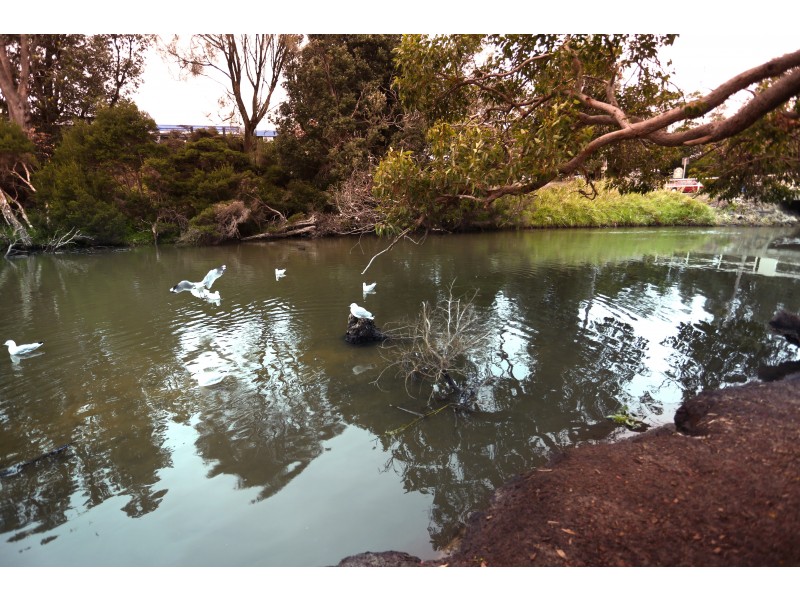 1 Tyrone Street, Seaford VIC 3198