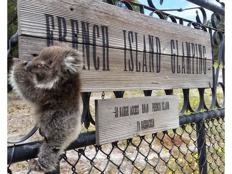 59 Barge Access Road, French Island VIC 3921