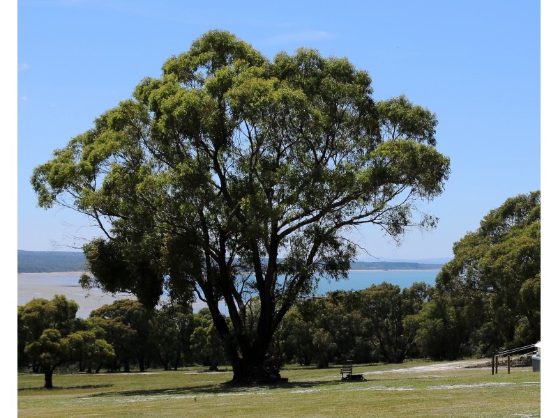 59 Barge Access Road, French Island VIC 3921