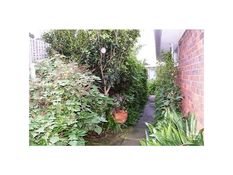 3/174 Canadian Bay Road, Mount Eliza VIC 3930