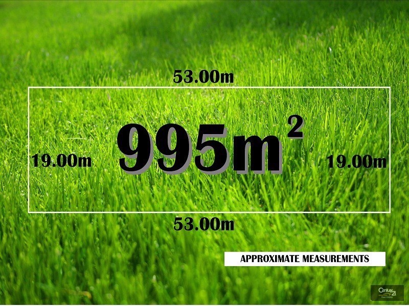 19 Rutherglen Street, Noble Park VIC 3174