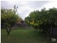 60 Kelvinside Road, Noble Park VIC 3174