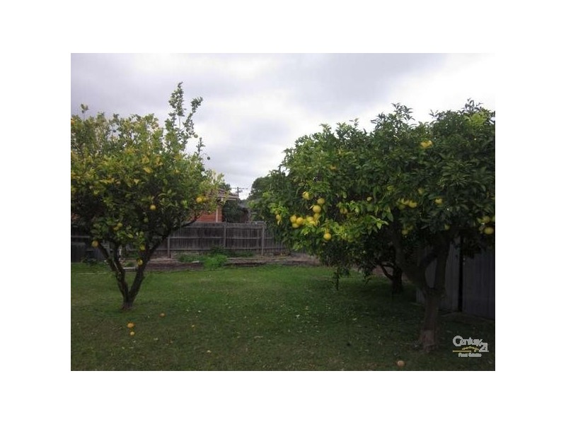 60 Kelvinside Road, Noble Park VIC 3174