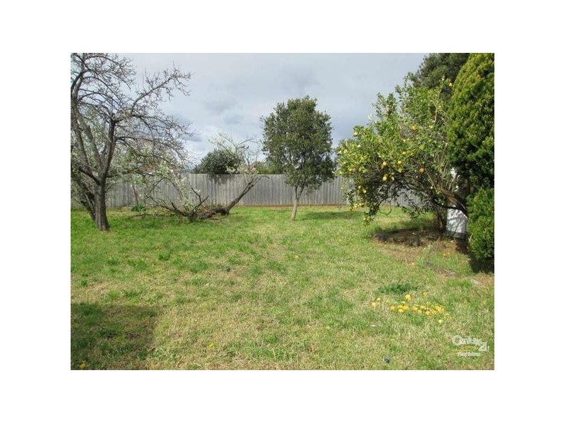 7 Pascoe Avenue, Springvale VIC 3171