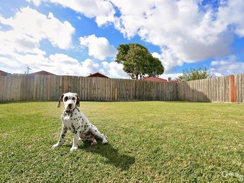 19 Kogarah Court, Keysborough VIC 3173