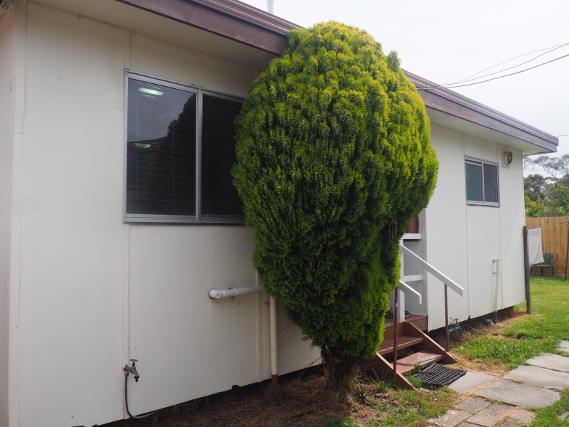 2/46 Birdwood Avenue, Dandenong VIC 3175