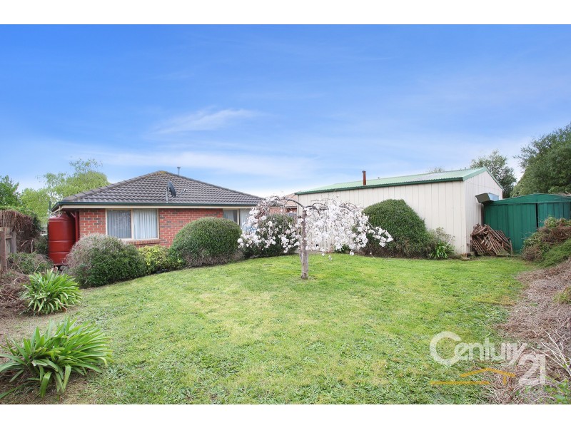38 Bellevue Drive, Berwick VIC 3806