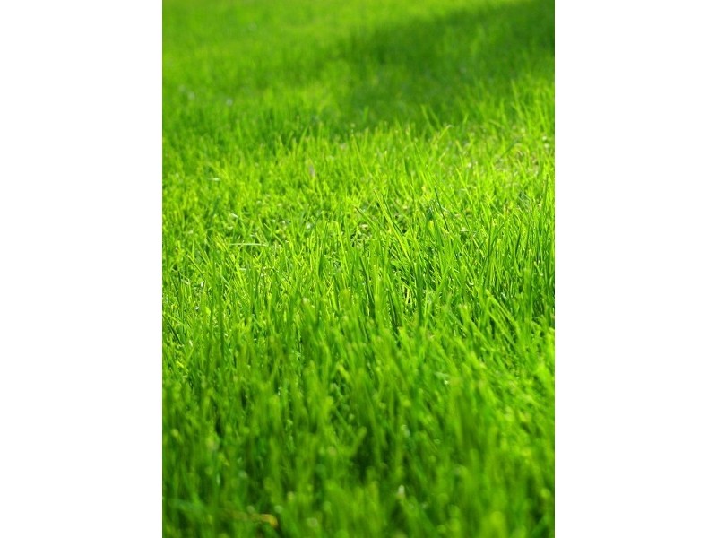 Lot 3419 Omarama Way, Taylors Hill VIC 3037