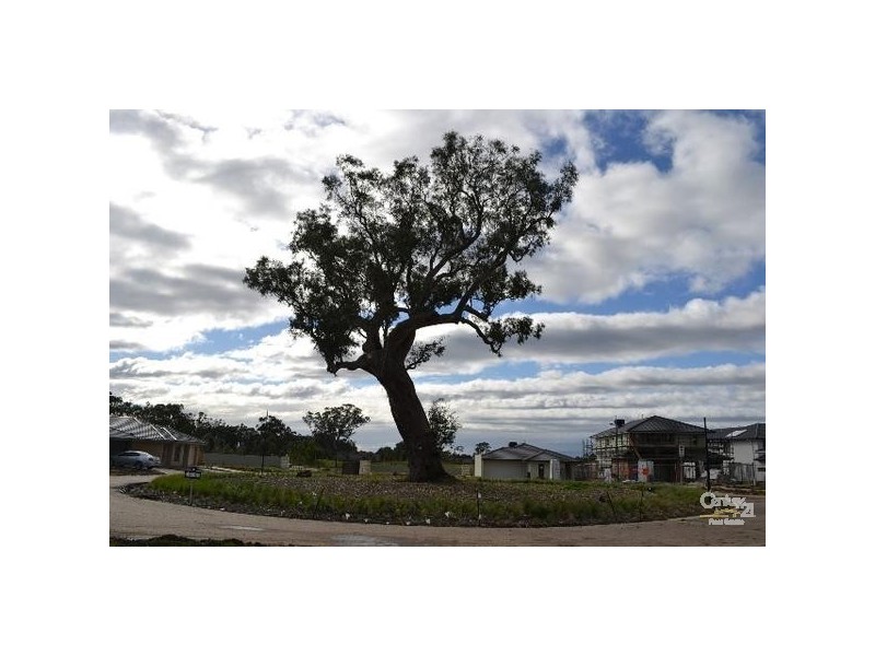 19 Jardine Crt, Sandhurst VIC 3977