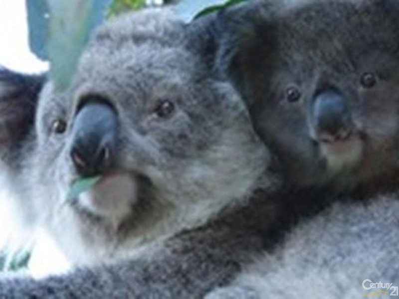 7 Lock Road, Rhyll VIC 3923