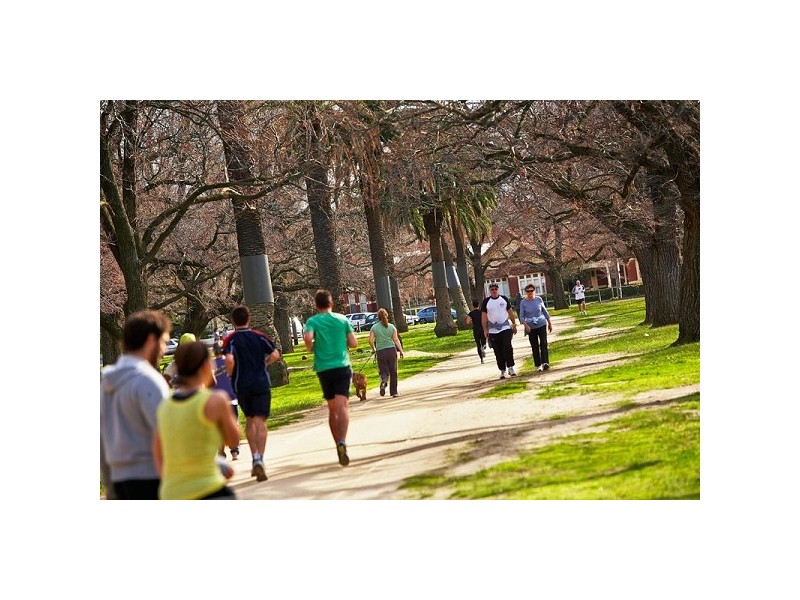 41 Amess Street, Carlton North VIC 3054