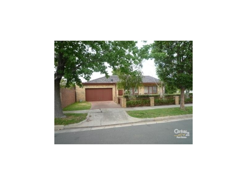 24 POWDERHAM ROAD, Caulfield North VIC 3161