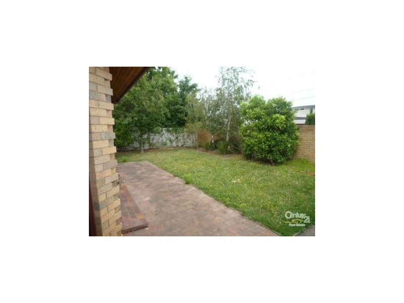 24 POWDERHAM ROAD, Caulfield North VIC 3161