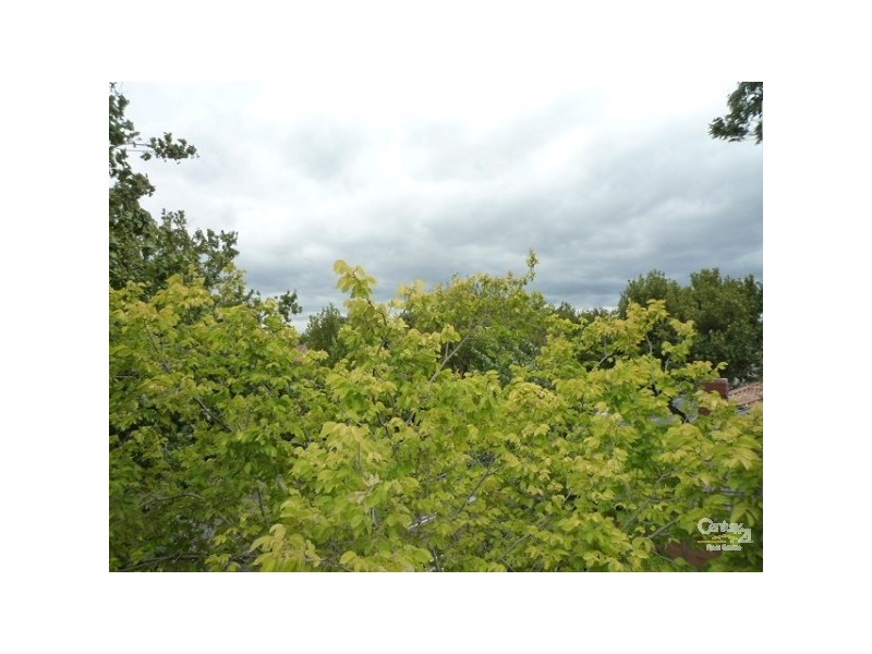 3/232 BARKLY STREET, Elwood VIC 3184