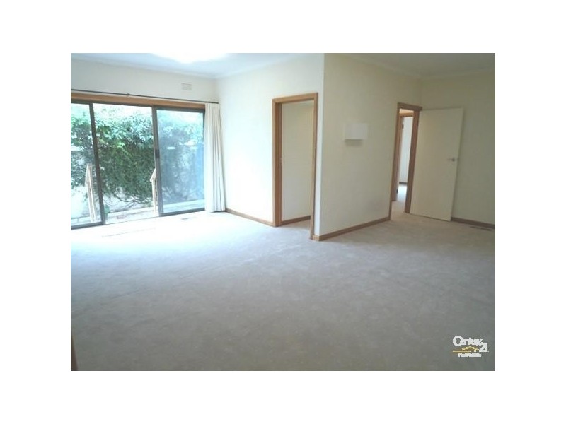 17 CAMBRIDGE STREET, Caulfield North VIC 3161