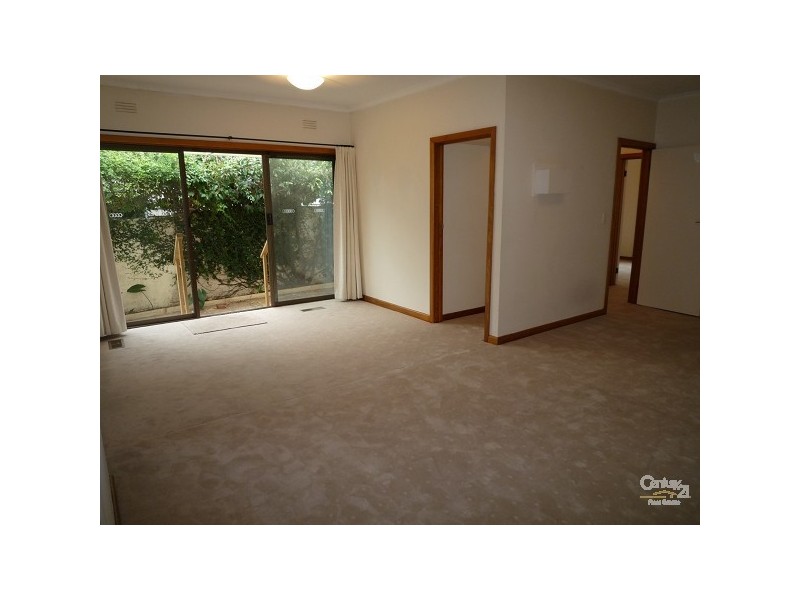 17 CAMBRIDGE STREET, Caulfield North VIC 3161