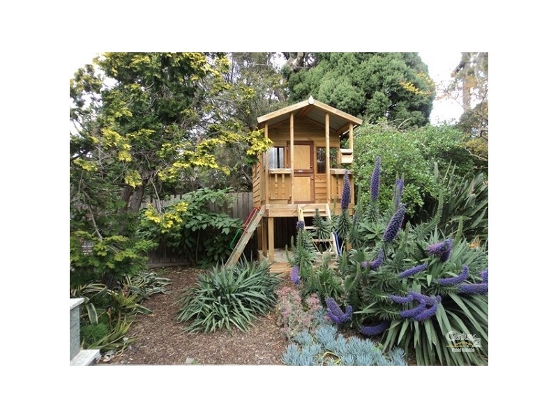 342 ST KILDA STREET, Brighton VIC 3186