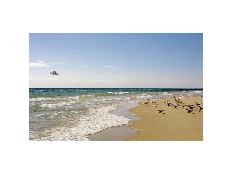 7 Wongella Court, Aspendale VIC 3195