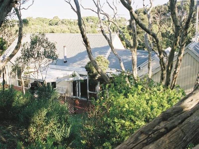 P562  (3) FIRS, Sorrento VIC 3943