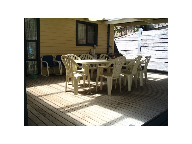 B62 (24) Doe, Rye VIC 3941