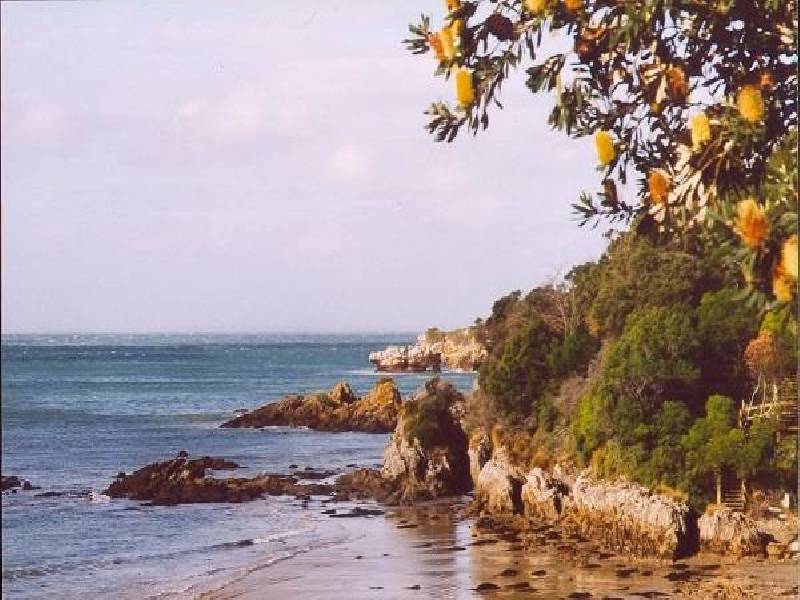 6 BAYSIDE DRIVE, Walkerville South VIC 3956